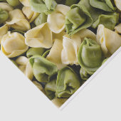 Papier van rauw schildpad, vers (Detail)