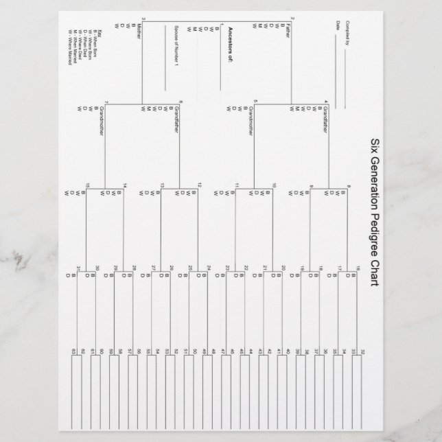 Papier van zes generaties (Voorkant)