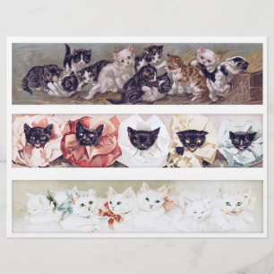 Papier Véritables (pas IA) Illustrations de Chats de l'Èr