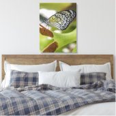 Papier vers le haut fermer l'impression de toile (Insitu(Chambre))
