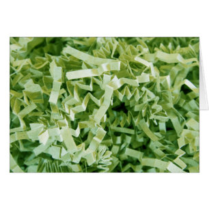 Papier vert broyé Crinké photo noir intérieur