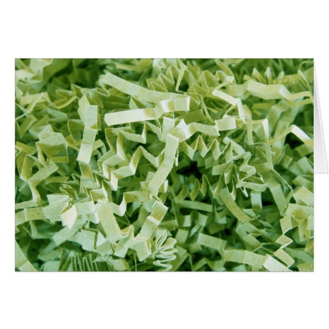 Papier vert broyé Crinké photo noir intérieur (Devant horizontal)