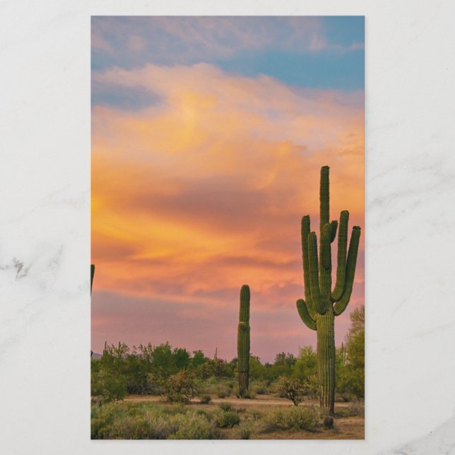 Papier Vie du désert du Saguaro (Devant)