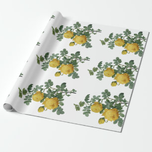 Papier vintage de cadeau de peinture de rose jaune