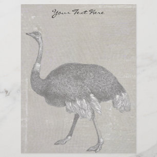 Papier Vintage Ostrich