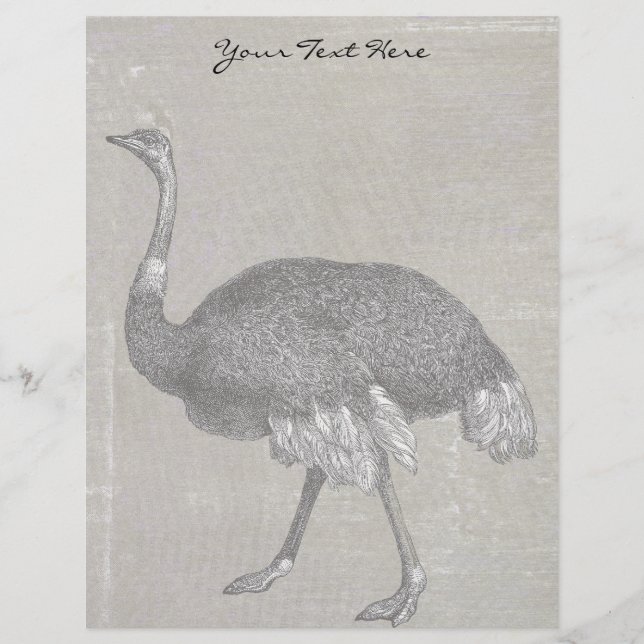 Papier Vintage Ostrich (Devant)