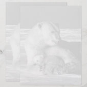 Papier Vintage USA Alaska (Devant / Derrière)