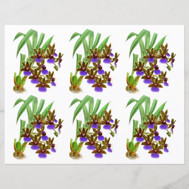 Papier Vintage violet bordeaux orchidée (Devant)