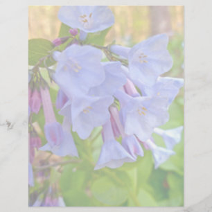 Papier Virginia Bluebells Coordonnateurs