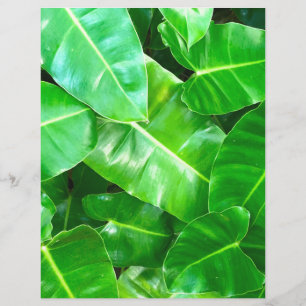 Papier Volage vert tropical
