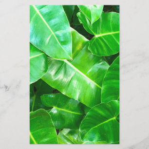 Papier Volage vert tropical