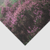 papier voor bergwandelpapier (Detail)