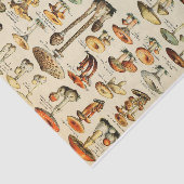 Papier voor Collectie van paddenstoelen (Detail)