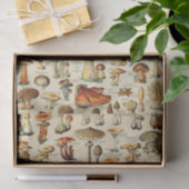Papier voor Collectie van paddenstoelen (Geschenk)