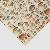 Papier voor Collectie van paddenstoelen (Detail)