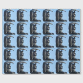 Papier voor het ompakken van beelden (Vlak)