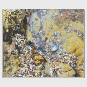 Papier voor het oppakken van breedband (Vlak)