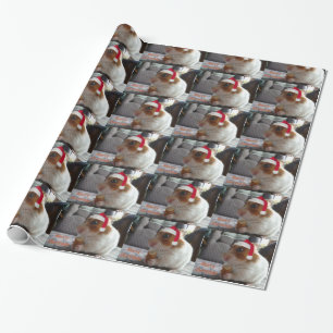 Papier voor het oppakken van kersthamsters