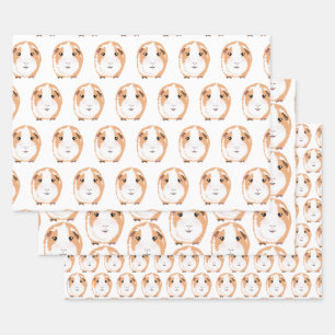 Papier voor het oppakken van varkens in Guinee, se Inpakpapier Vel