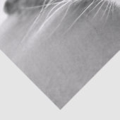 Papier voor het uitkoelen van weefsels (Detail)