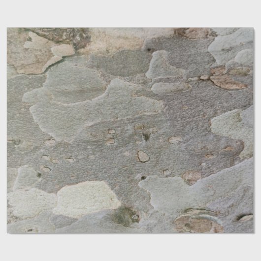 Papier voor het verpakken van bomen (Vlak)