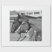 Papier voor het verpakken van poly-pony (Vlak)