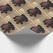 Papier voor het verpakken van zwarte labpuppy's (Hoek)