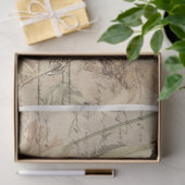  papier voor het verzamelen van vogel (Geschenk)