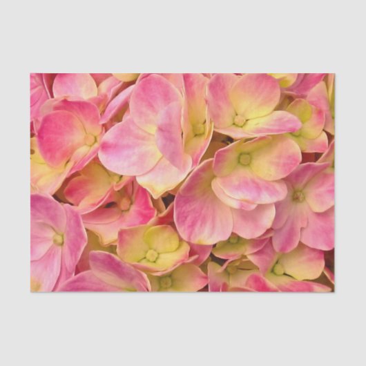 PAPIER VOOR HET WRAPPEN VAN Roze hydrangeas-TISSUE (Voorkant)