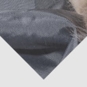 Papier voor kat van Siamese (Detail)