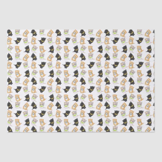 Papier voor kattenkatjes (Voorkant)