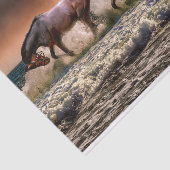 Papier voor paarden (Detail)