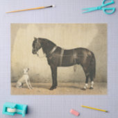  papier voor paarden en honden of lospapier (Craft)