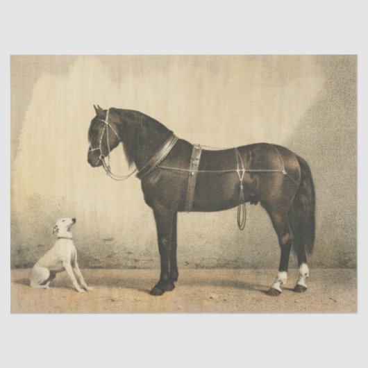  papier voor paarden en honden of lospapier (Voorkant)