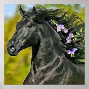 Papier voor paardencrinieren, Papier poster