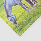 Papier voor paardenfokkerij (Detail)