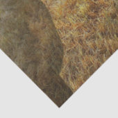 Papier voor paardenweefsel (Detail)