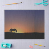 Papier voor paardenweefsel (Craft)