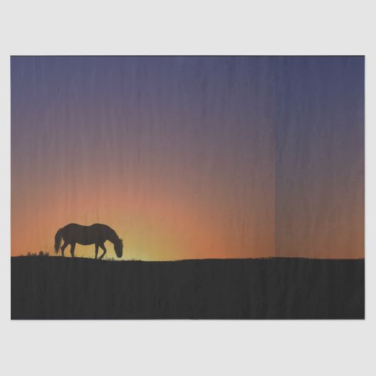 Papier voor paardenweefsel (Voorkant)