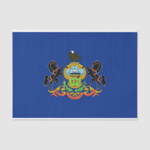 Papier voor patriottisch weefsel met vlag Pennsylv