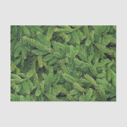 Papier voor pinetenweefsel (Voorkant)