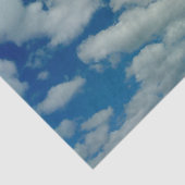 Papier voor wolkenweefsel (Detail)