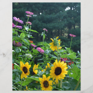 Papier Vue jardin, marguerites, cosmos, tournesols, chrys