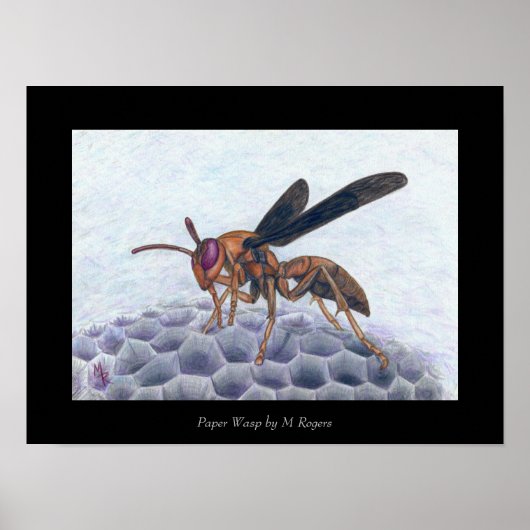 Papier wasp-art afdrukken poster (Voorkant)