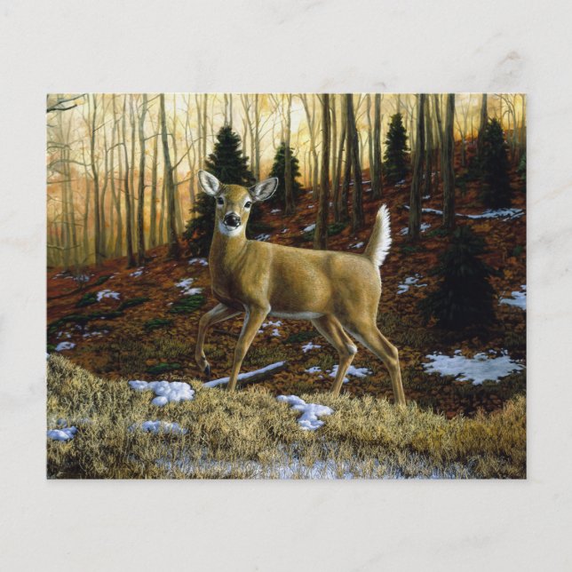 Papier Whitetail Deer Doe dans la forêt d'automne (Devant)