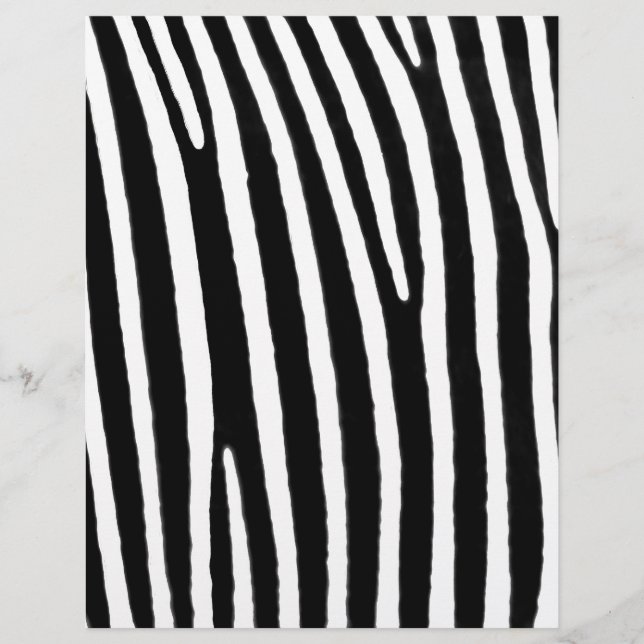 Papier Zebra poster de animal (Devant)