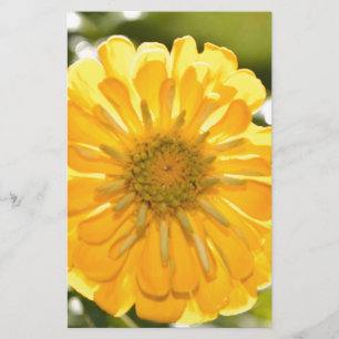 Papier Zinnia jaune, marguerite jaune, fleur jaune