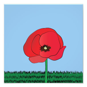 Papierafdruk Foto Afdruk