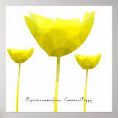 Papierafdrukken Poster (Voorkant)