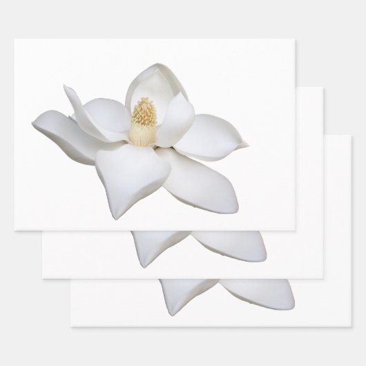 Papierbladen samenvoegen inpakpapier vel (Set)